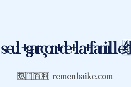 seul+garçon+de+la+famille组词是什么意思的图片